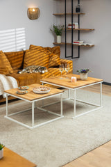 Coffee Table, Square Coffee Table, Nesting Table Set of 2, Coffee Table Oak, Industrial Coffee Table, Round Two-Tier Coffee Table Set